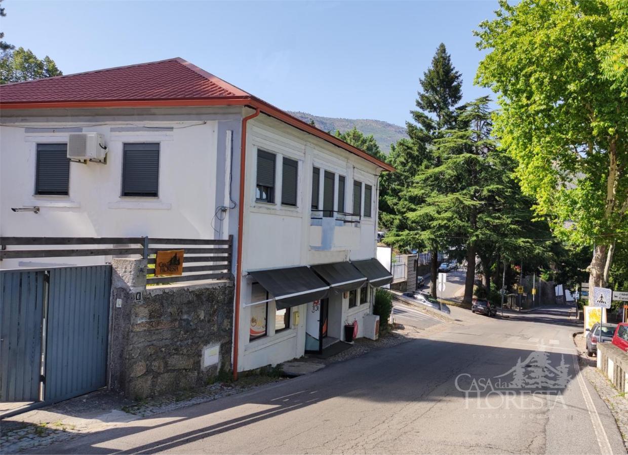 Casa Da Floresta Covilhã Екстериор снимка